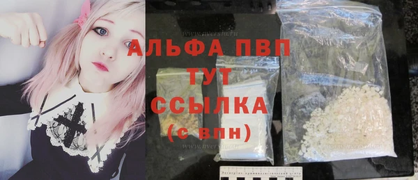 шишки Лабытнанги