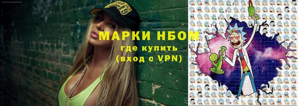 шишки Лабытнанги
