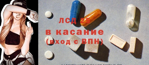 шишки Лабытнанги