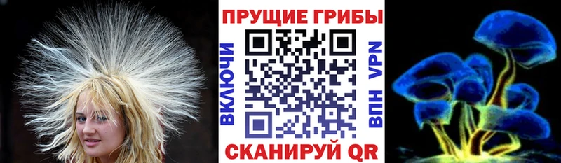 Галлюциногенные грибы мухоморы  Мелеуз 