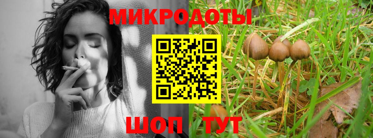 Галлюциногенные грибы MAGIC MUSHROOMS  Вход с VPN  Мелеуз 